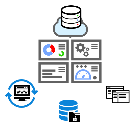 Integrated master data management software